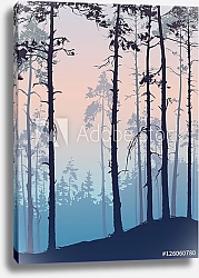 Постер Сосновый лес на рассвете