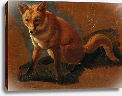 Постер Агассе Жак Study of a Fox