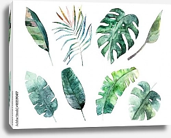Постер Набор акварельных листьев