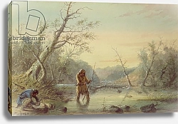 Постер Миллер Якоб Альфред Trapping Beaver, 1858