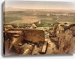 Постер Тунис. Карфаген, гробницы и вид на Голетту
