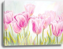 Постер Светло-розовые тюльпаны
