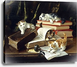 Постер Kittens Playing on Desk,
