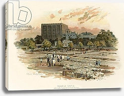 Постер Уилкинсон Чарльз Norwich castle