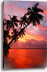 Постер Силуэт пальмовых деревьев на пляже на закате, острова Офу, Тонга