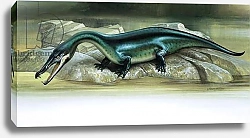 Постер Филлипс Уильям (дет) Nothosaurus