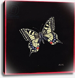 Постер Клейзер Амелия (совр) Swallowtail butterfly, 1999