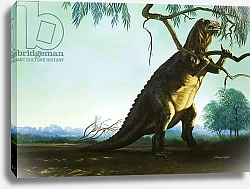 Постер Филлипс Уильям (дет) Iguanodon