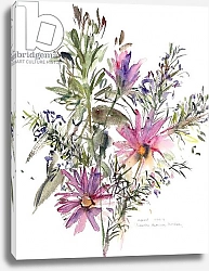 Постер Хатчинс Клаудия Floral, South African daisies and lavander, 2004