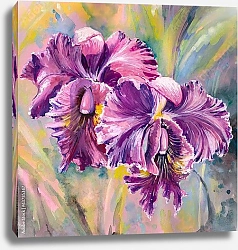 Постер Цветы орхидеи. Акварель