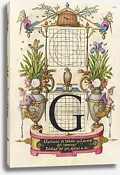 Постер Хофнагель Йорис Guide for Constructing the Letter G