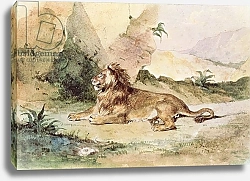 Постер Делакруа Эжен (Eugene Delacroix) A Lion in the Desert, 1834