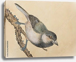 Постер Маленькая птичка на ветке 2