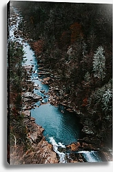 Постер Голубая река в темном лесу