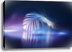 Постер Нежное белое воздушное перо с каплями росы