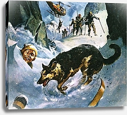 Постер МакКоннел Джеймс Rescue in the Snow
