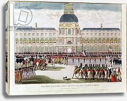 Постер Науде Томас Parade in the Courtyard of the Palais des Tuileries in the Presence of the Emperor