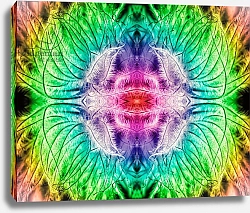 Постер Смит Энт (совр) Rainbowed Plant, 2015