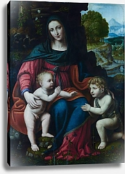 Постер Луини Бернардино Дева Мария и младенец со святым Джоном
