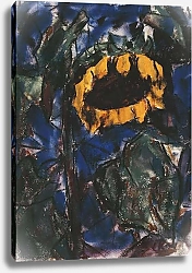 Постер Рольфс Кристиан Sunflower; Sonnenblume,