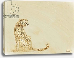 Постер Сандерс Франческа (совр) cheetah in monochrome, 2015,