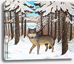 Постер Волк в сосновом лесу