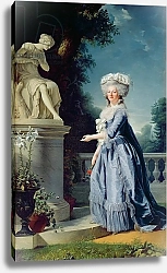 Постер Лабиль Аделаида Portrait of Marie-Louise Victoire de France
