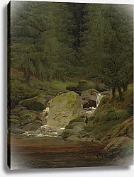 Постер Фридрих Каспар (Caspar David Friedrich) The Evergreens by the Waterfall