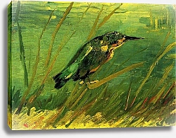 Постер Ван Гог Винсент (Vincent Van Gogh) Зимородок