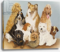 Постер Скотт Пэт (совр) Dogs' Dinner
