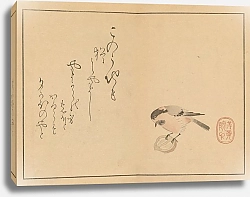 Постер Хоицу Сакаи Sakai Hōitsu gajō, Pl.17