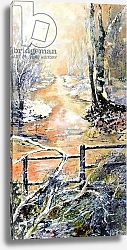 Постер Смит Мэри (совр) Early winters morning along Markeaton brook