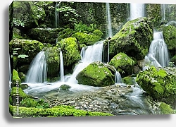 Постер Водопад в зеленом лесу 2