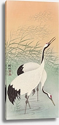 Постер Два журавля (1925 - 1936)