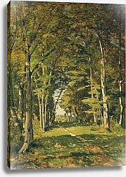 Постер Харпигнес Генри Джозеф The Woods of Famars, 1887