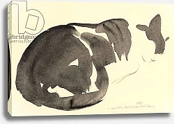 Постер Хатчинс Клаудия Sleeping cat, 1984