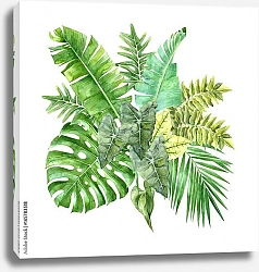 Постер Акварельные тропические листья