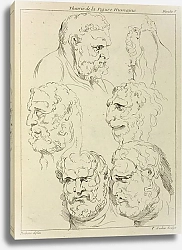 Постер Рубенс Петер (Pieter Paul Rubens) Studies of the head of a bearded man, and the head of a creature