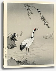 Постер Традиционный портрет красивого японского журавля