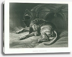 Постер Sleeping Bloodhound
