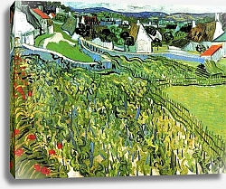 Постер Ван Гог Винсент (Vincent Van Gogh) Виноградники и вид на Овер
