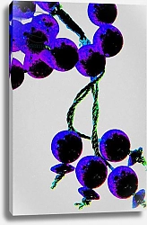Постер Лайонс Джой (совр) Purple Prayer Beads, from the series Misbaha, 2016