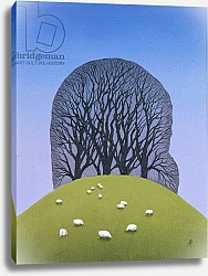 Постер Брэйн Энн (совр) Hilltop with Sheep, 2017