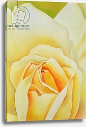 Постер Сим Миунг-Бо (совр) The Rose, 1995