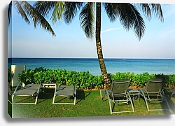 Постер Вид на море из отеля с шезлонгами и пальмами
