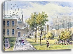 Постер Шепард Томас (акв) Garden of St. Thomas's Hospital, Southwark, London
