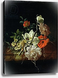 Постер Руйш Рейчел Still Life with Flowers 6