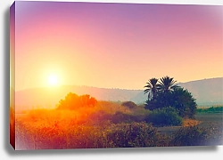 Постер Пустыня на закате, Израиль