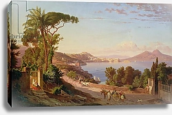Постер Готцлов Карл View of Naples 3