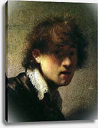 Постер Рембрандт (Rembrandt) Head of a Young Man or Self Portrait, 1629